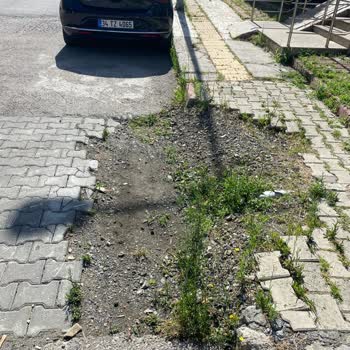 Saski Genel Müdürlüğü Yaptıkları Kazının Kapatılması