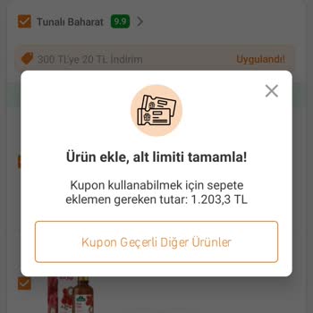 Trendyol Toplanan Puanı Kullanamamak