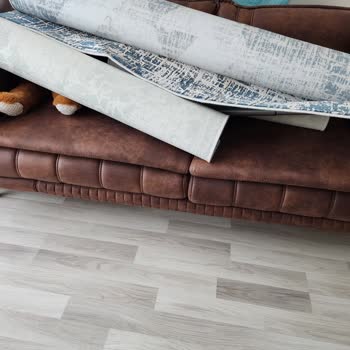 Ladin Mobilya Küflenen Mobilya Ve Mağduriyetim