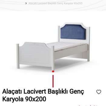 Alfemo/Ne Malı Teslim Ettiler, Ne De Zamanında Parayı İade Ettiler/