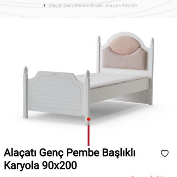 Alfemo/Ne Malı Teslim Ettiler, Ne De Zamanında Parayı İade Ettiler/
