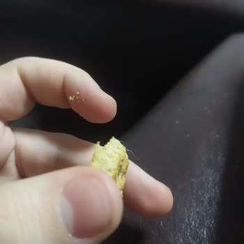 Eti Gıda Paketlenmiş Bisküvilerde Beklenmedik Bulgu