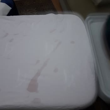 Philips DST8030 Akıllı Ütü Sorunu