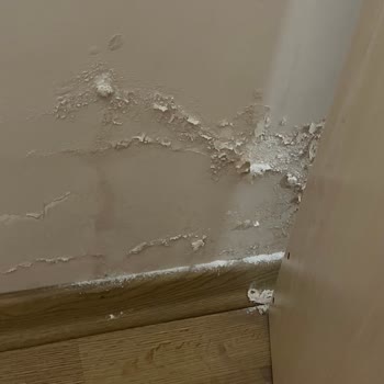 Başoğlu İnşaat (İzmir) Başoğlu İnşaat Apartmanımıza Hasar Verdi