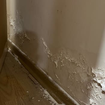 Başoğlu İnşaat (İzmir) Başoğlu İnşaat Apartmanımıza Hasar Verdi