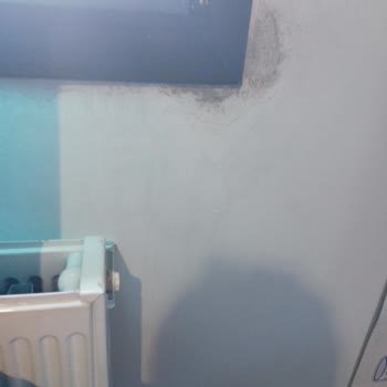 Sompo Japan Şaka Yaptı