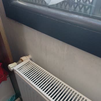 Sompo Japan Şaka Yaptı