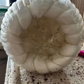 Yöresel Burada Peynir Sipariş Ettim Pişman Oldum