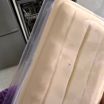 Tahsildaroğlu Paketi Açılmadan Küflenen Dil Peyniri