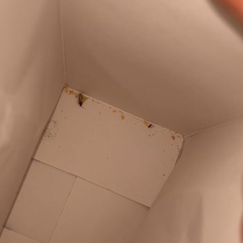 Barilla Gıda Makarnada Böcek Şoku!