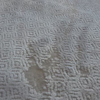 Keşke Halı Yıkama Başakşehir  Yepyeni Halımın Tüylerini Yaktı!