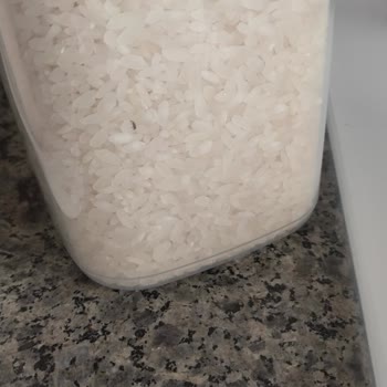 BİM Efsane Pirinç Böcek