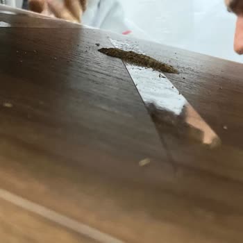 Doğanlar Mobilya Kelebek Mobilya Bahçelievler