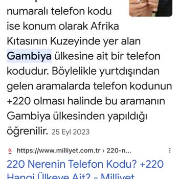 E-ticaret Marka Taklidiyle Dolandırıcılık Gambiya'dan Aranmak