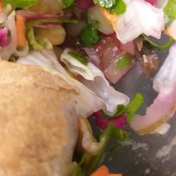 Pideelli5 Yemekten Böcek Çıkması