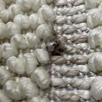 Apex Halı Defolu Ürün Satışı