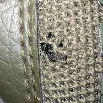 Fast Spor Kalitesiz Ayakkabı Ve İletişim Sorunu