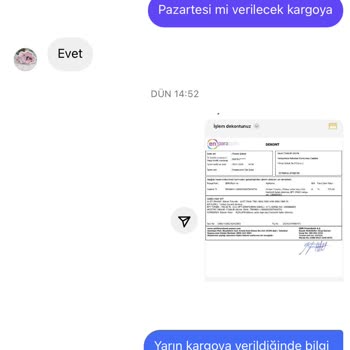 Alminabebeksekerleri (Instagram) Üslup ve Kargo Sorunu