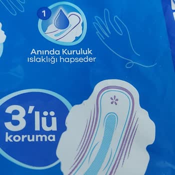 Orkid Ped Kanatlarının Orantısızlığı