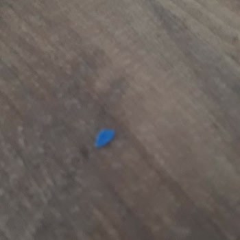 Maret Sucukta Mavi Plastik Parçalar