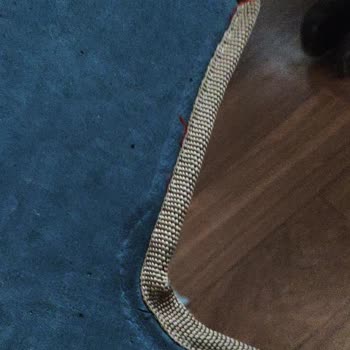 Floorx Pas Pas
