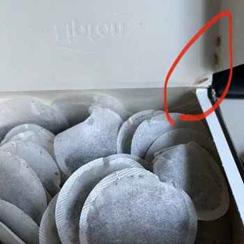 Lipton Earl Grey Çaydan Böcek Çıktı