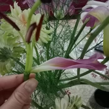 ÇiçekSepeti Çiçek Sepetinden Aldığım Buketin Sorunları