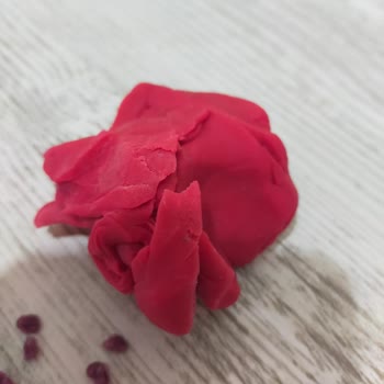 Fisher Price Şikayet