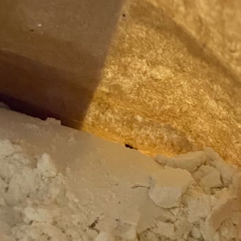 Sinangil Unundan Böcek Çıktı