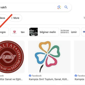 Sanat Vakfı (Burs Başvurusu) 4500 TL Burs Başvurusu Toplum Sanat Eğitim Vakfı