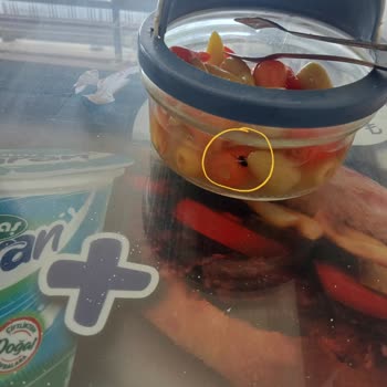 Beyşehir Belediyesi Biber Turşusunun İçerisinde Ölü Sinek