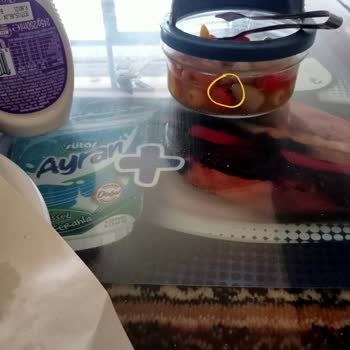 Beyşehir Belediyesi Biber Turşusunun İçerisinde Ölü Sinek