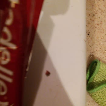 Tadelle King İçinden Kabuk Çıktı!