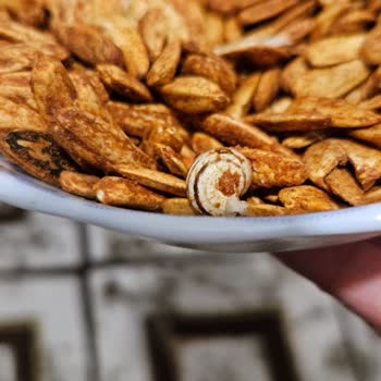 Nazilli Ordu Caddesi Tuğba Kuruyemiş Çekirdekten Salyangoz Çıktı