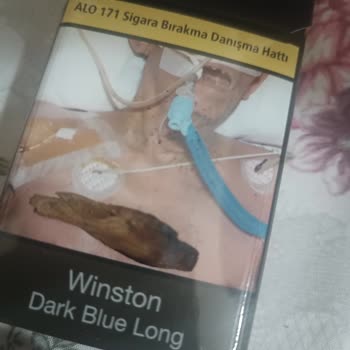 Winston Dark Blue