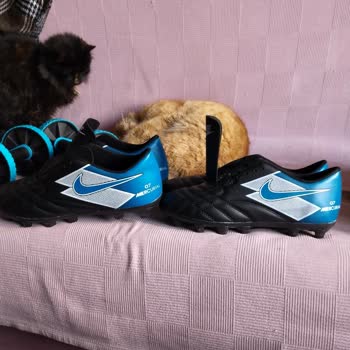 Firekrampon (Instagram) Aldatmacası