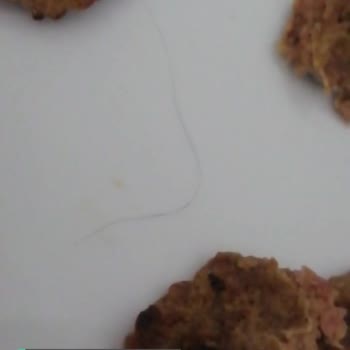Emin Köfteden Kıl Çıktı