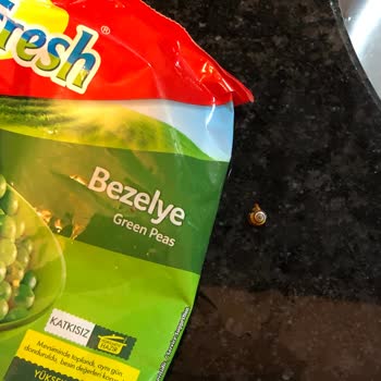 Dondurulmuş Superfresh Bezelyeden Salyangoz Çıktı