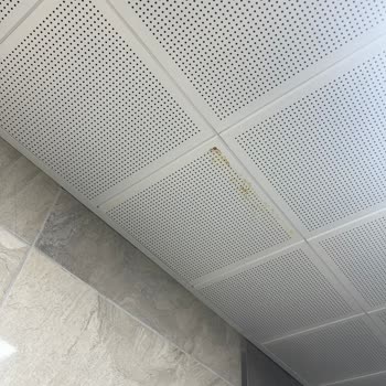 TOKİ Rize Salarha Ayıplı Ve Eksik İşler