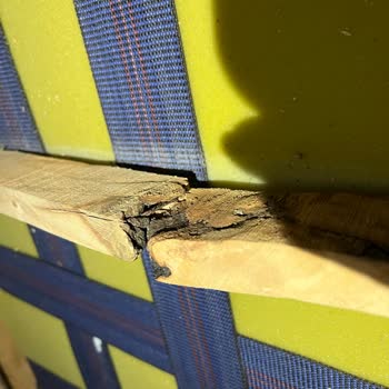 Vivense Çürük İskelet Malzemesi