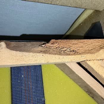 Vivense Çürük İskelet Malzemesi