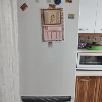 Profilo Sebzelik Karlanma ve Buzlanma Problemi