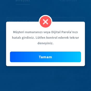 Halkbank Mobil Ve İnternet Bankacılığıma Giriş Yapamıyorum