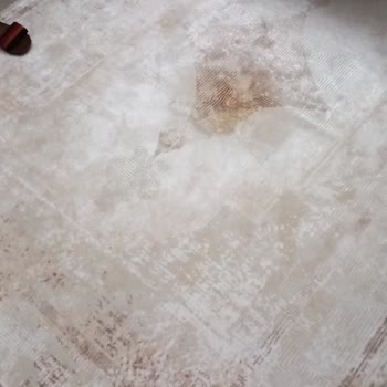 Woolen Halı Victoria Serisinde Leke Sorunu!