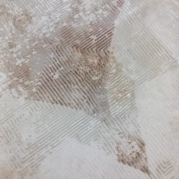 Woolen Halı Victoria Serisinde Leke Sorunu!