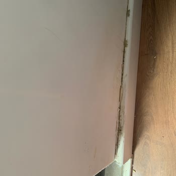 Green Park Rezidance Manavgat Gerekli Hassasiyeti Gösterelim!