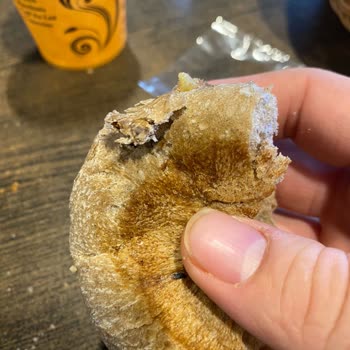 İtimat Süt Cevizli Ekmekten Ceviz Kabuğu Çıktı Diş Dolgum Düşüyordu.