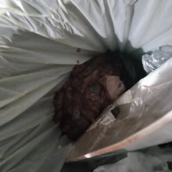 Migros’tan Aldığım Dana Ciğerinden Kötü Koku!