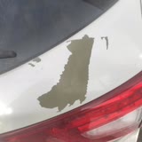 Nissan Qashqai Paint Peeling