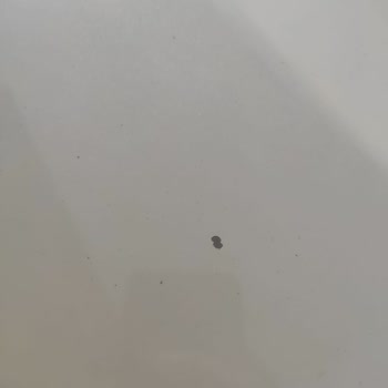 Nissan Qashqai Paint Peeling